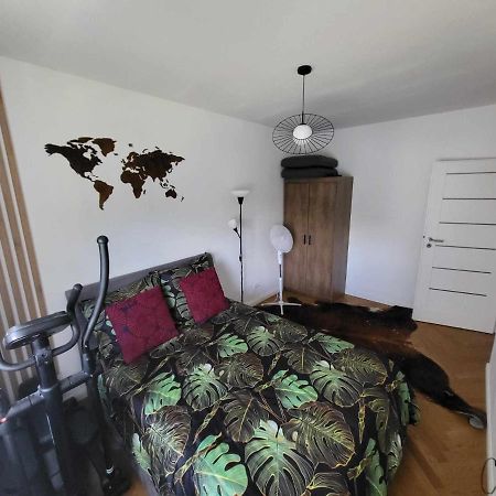 Friendly Apartment Blisko Progresji ワルシャワ エクステリア 写真